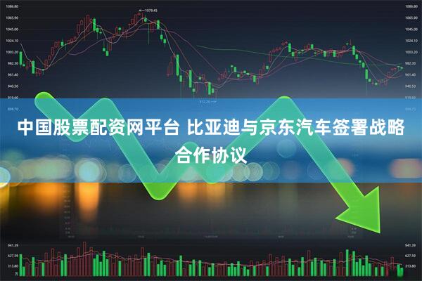 中国股票配资网平台 比亚迪与京东汽车签署战略合作协议