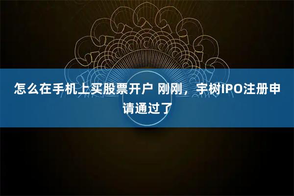 怎么在手机上买股票开户 刚刚，宇树IPO注册申请通过了